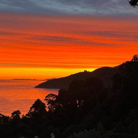 Magnifique Villa Neuve Vue Mer Cavalaire-sur-Mer Εξωτερικό φωτογραφία